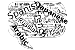 The Language Challenge