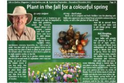 Gardening: Plant in the fall for a colourful spring