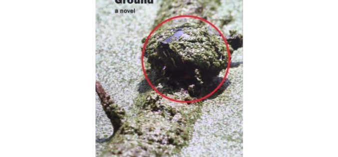 Book Review: A Hole in the Ground by Ross Murray