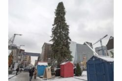 Montreal’s ugly Christmas tree inspires holiday-themed village of imperfections